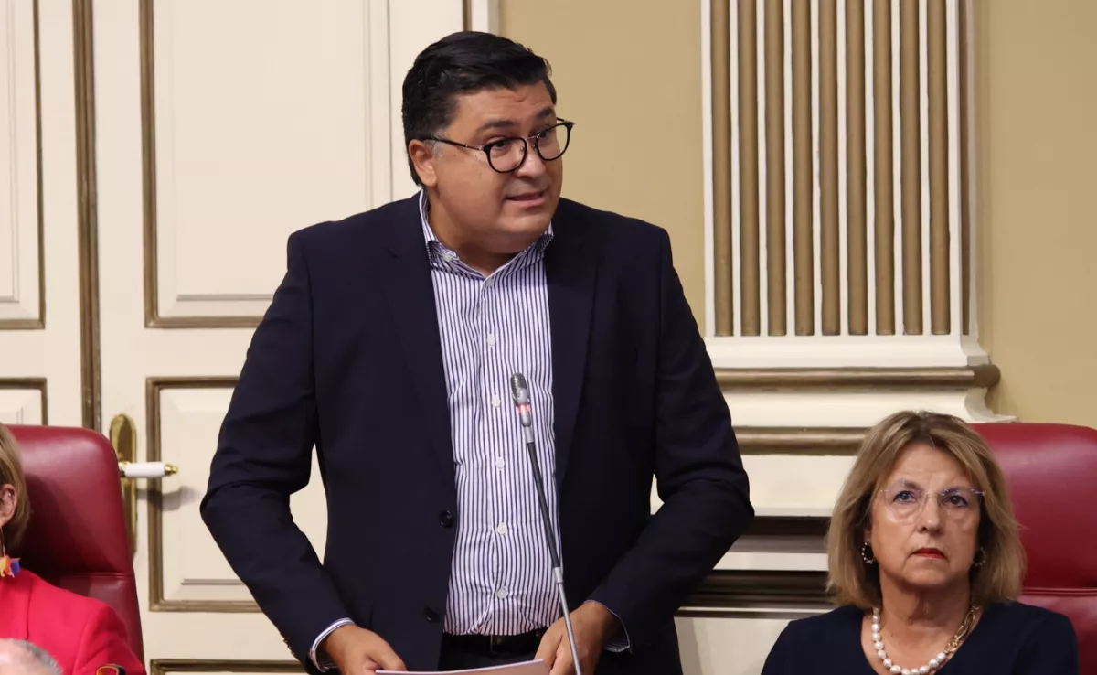 El portavoz de Sanidad del Grupo Parlamentario Socialista, Miguel Ángel Pérez del Pino / PSOE