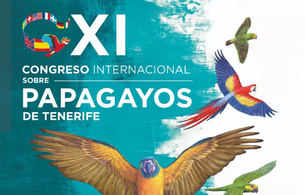 Canarias se convierte en la capital mundial de la conservación de especies en el 40º aniversario del Congreso Internacional sobre Papagayos de Tenerife