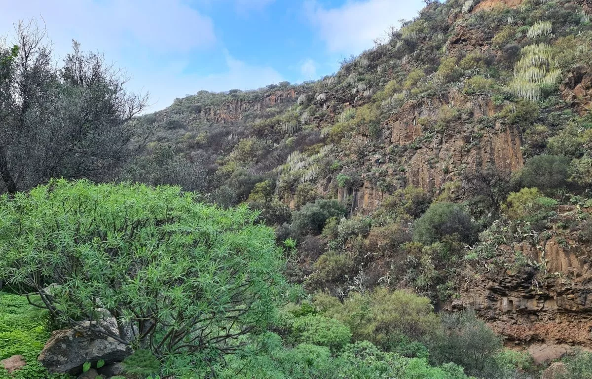 Barranco de Los Cernícalos. ALBERTO LEY