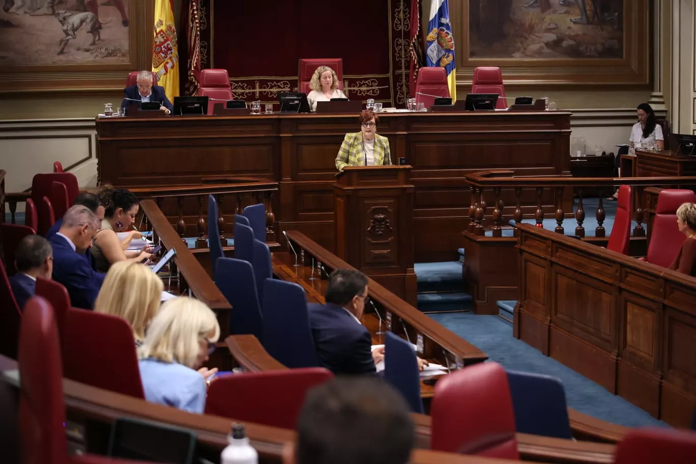 La consejera de Bienestar Social, Candelaria Delgado, durante el pleno de este jueves. AH