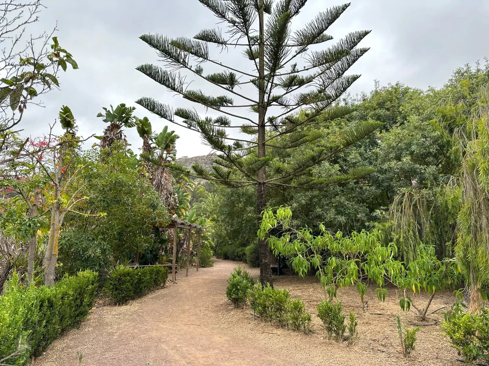 Finca El Galeón. AH