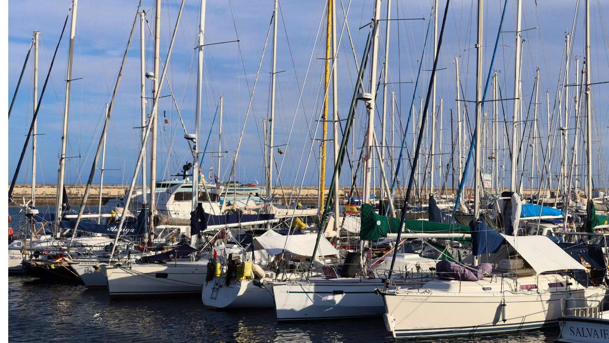 Veleros en el puerto de Santa Cruz de Tenerife. /  ATLÁNTICO HOY