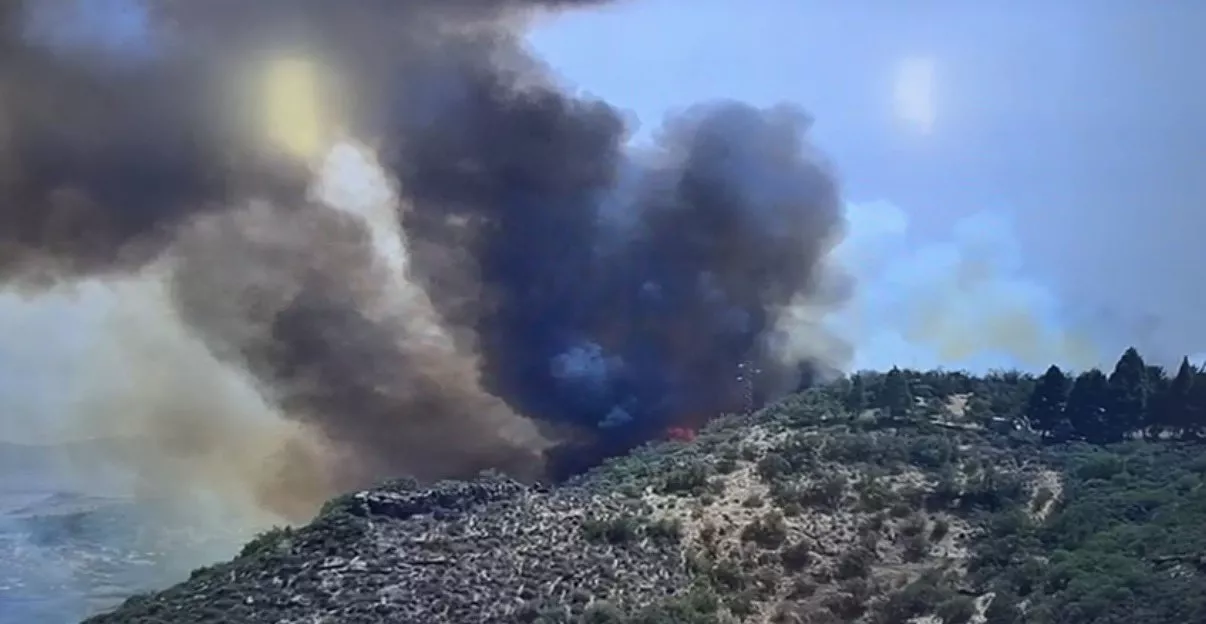 Incendio en Los Cazadores, en Telde. / CABILDO DE GRAN CANARIA