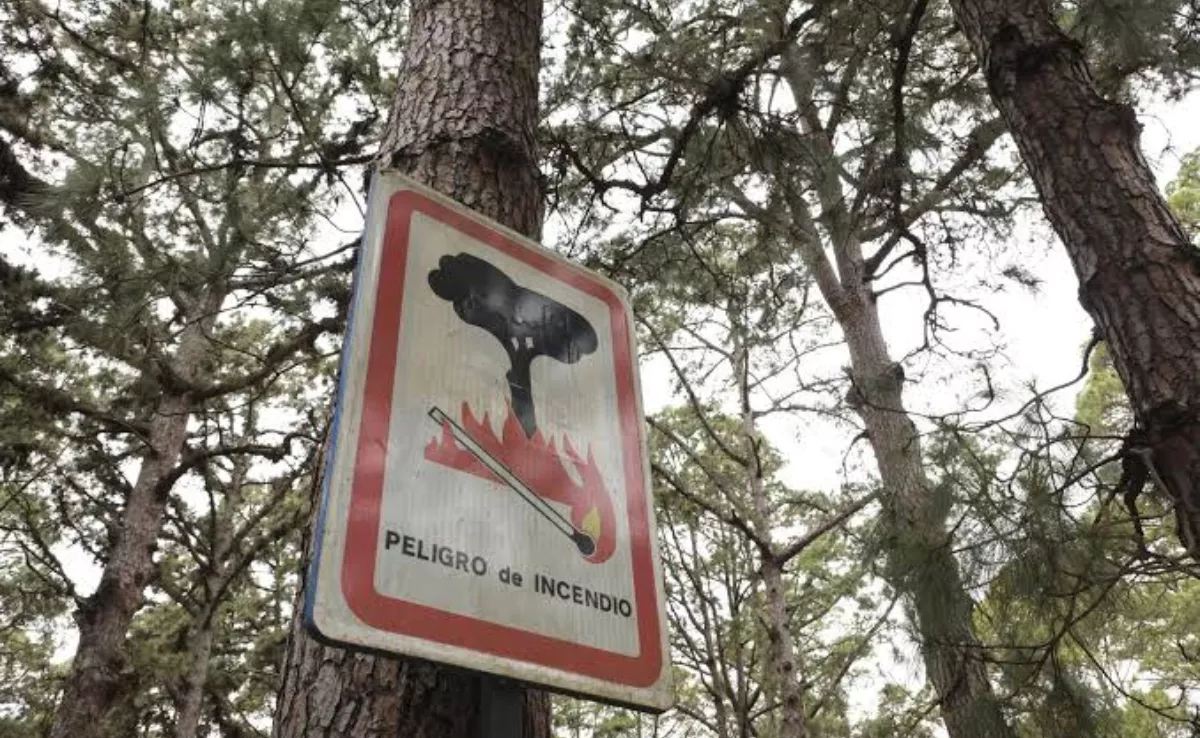Imagen de archivo de un cartel que alerta del riesgo de incendio forestal en el monte de La Esperanza en Tenerife / EFE