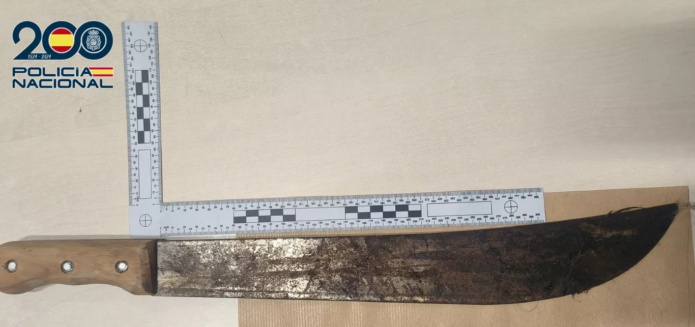 Machete que la Policía Nacional retiró a una mujer en Gran Canaria. / POLICÍA NACIONAL