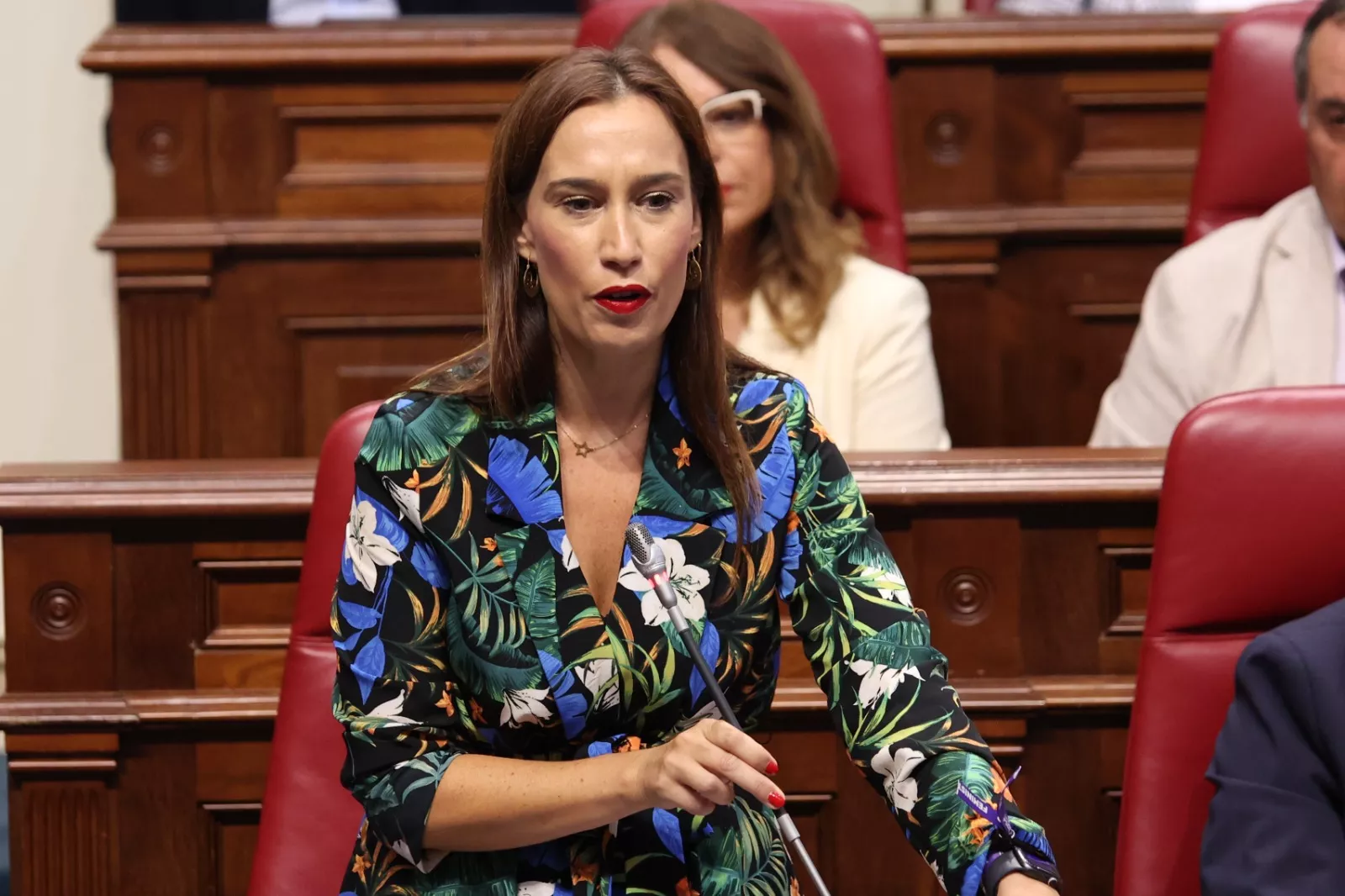 La presidenta del Grupo Parlamentario Socialista, Nira Fierro. / CEDIDA