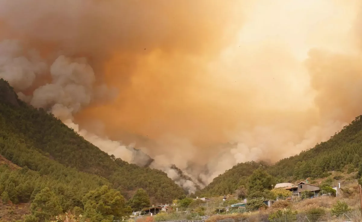 Imagen de un incendio forestal en Tenerife / EFE - RAMÓN DE LA ROCHA