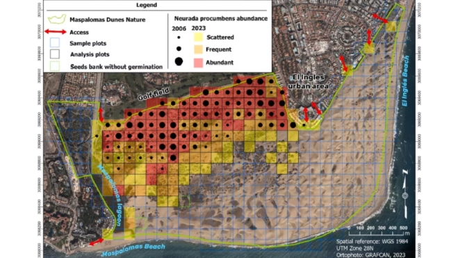 Gráfico que muestra la expansión de la planta invasora en los últimos años / E. MEDINA LORENZO Gráfico que muestra la expansión de la planta invasora en los últimos años / E. MEDINA LORENZO