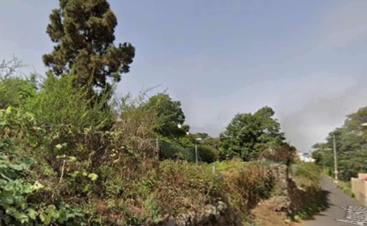 Imagen del camino de San Agustín. / GOOGLE