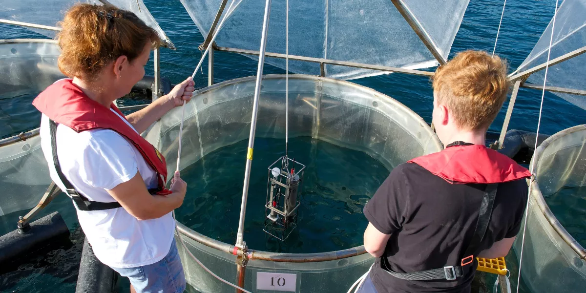  Dos científicos toman muestras de uno de los tanques de agua marina donde se realiza el experimento. / EFE - Ángel Medina G.