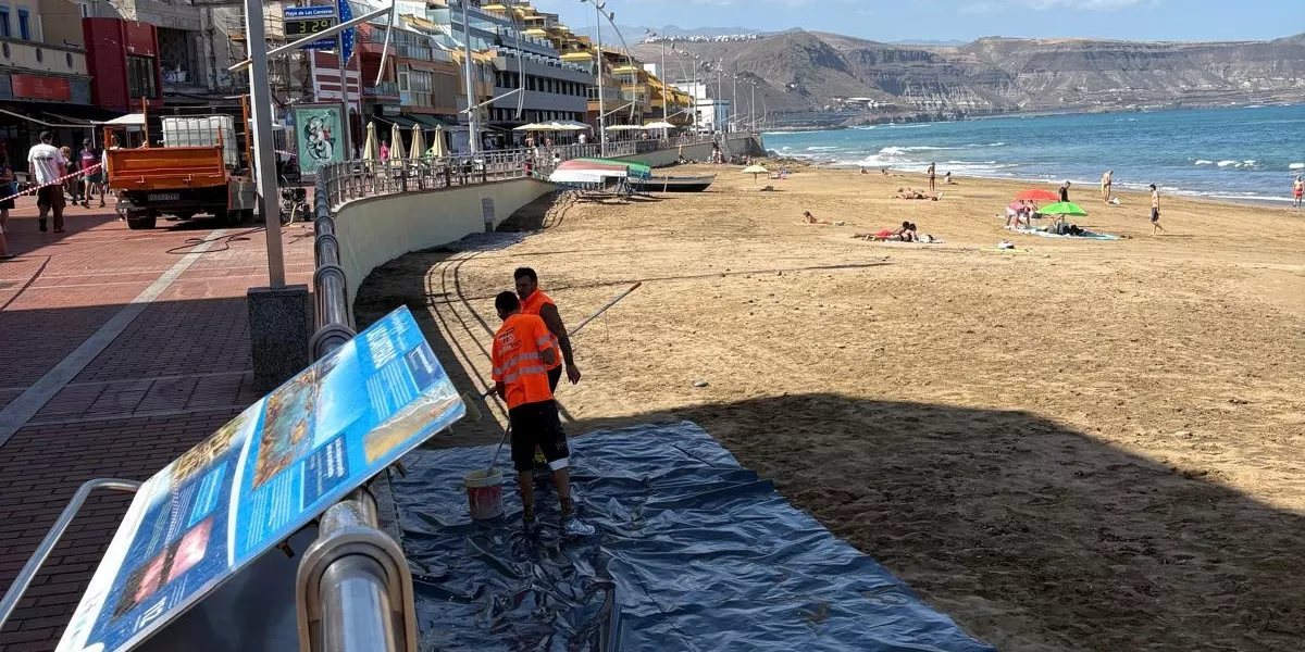 Imagen de la reparación del muro de la playa de Las Canteras / AYUNTAMIENTO DE LAS PALMAS DE GRAN CANARIA 