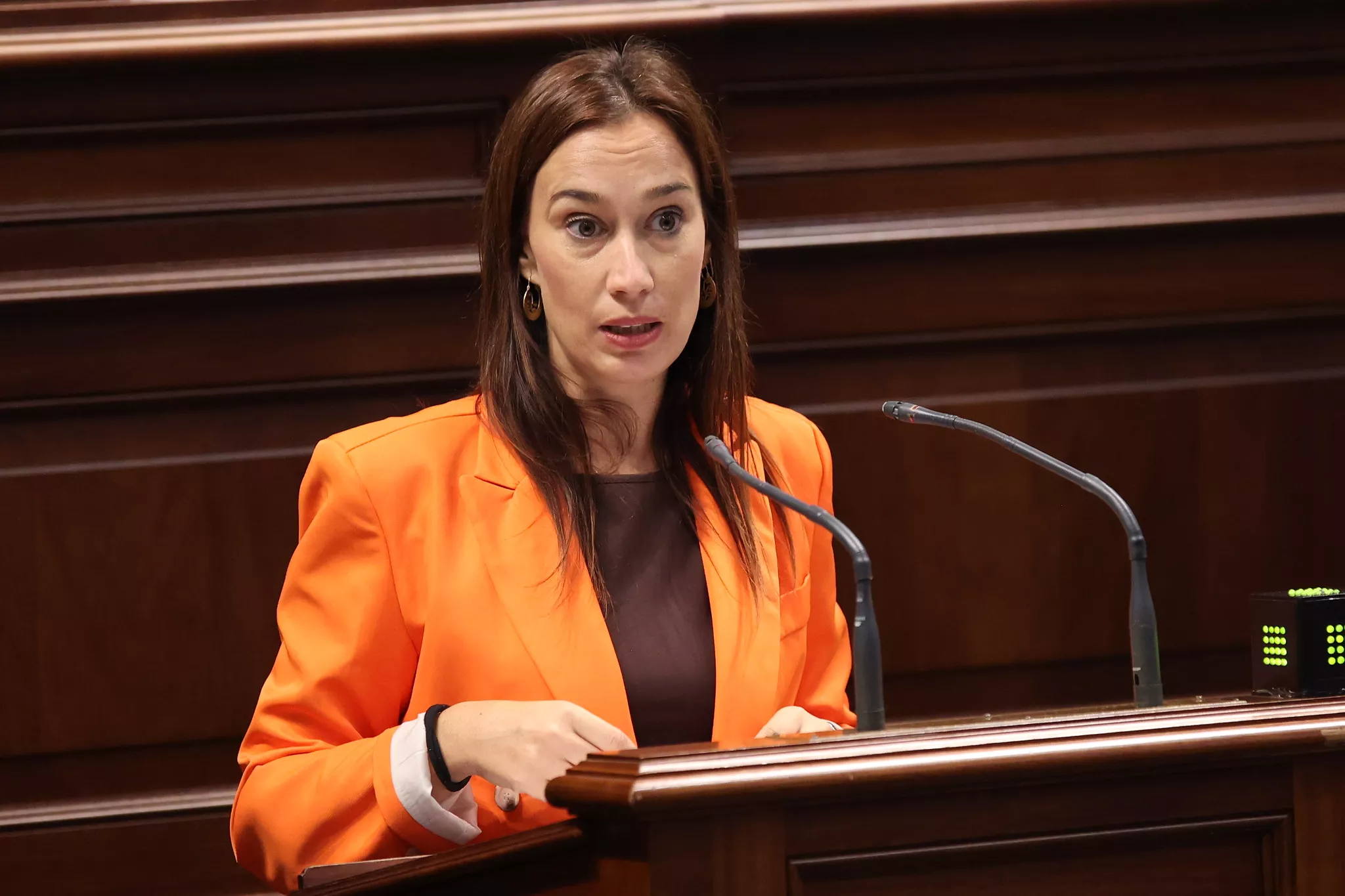 La secretaria de Organización del PSOE Canarias, Nira Fierro. / PSOE CANARIAS