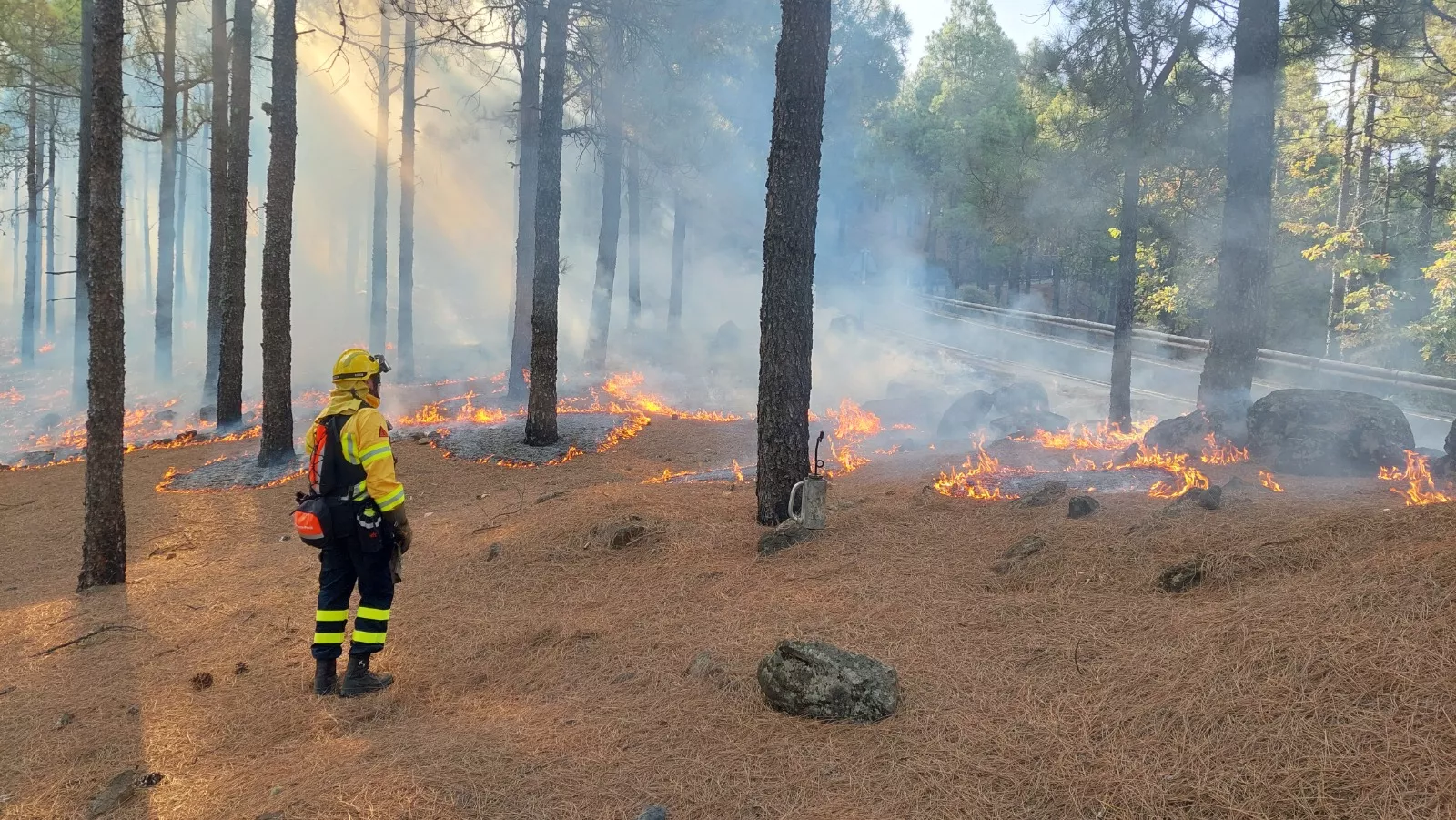 Quemas prescritas en la cumbre grancanaria. AH