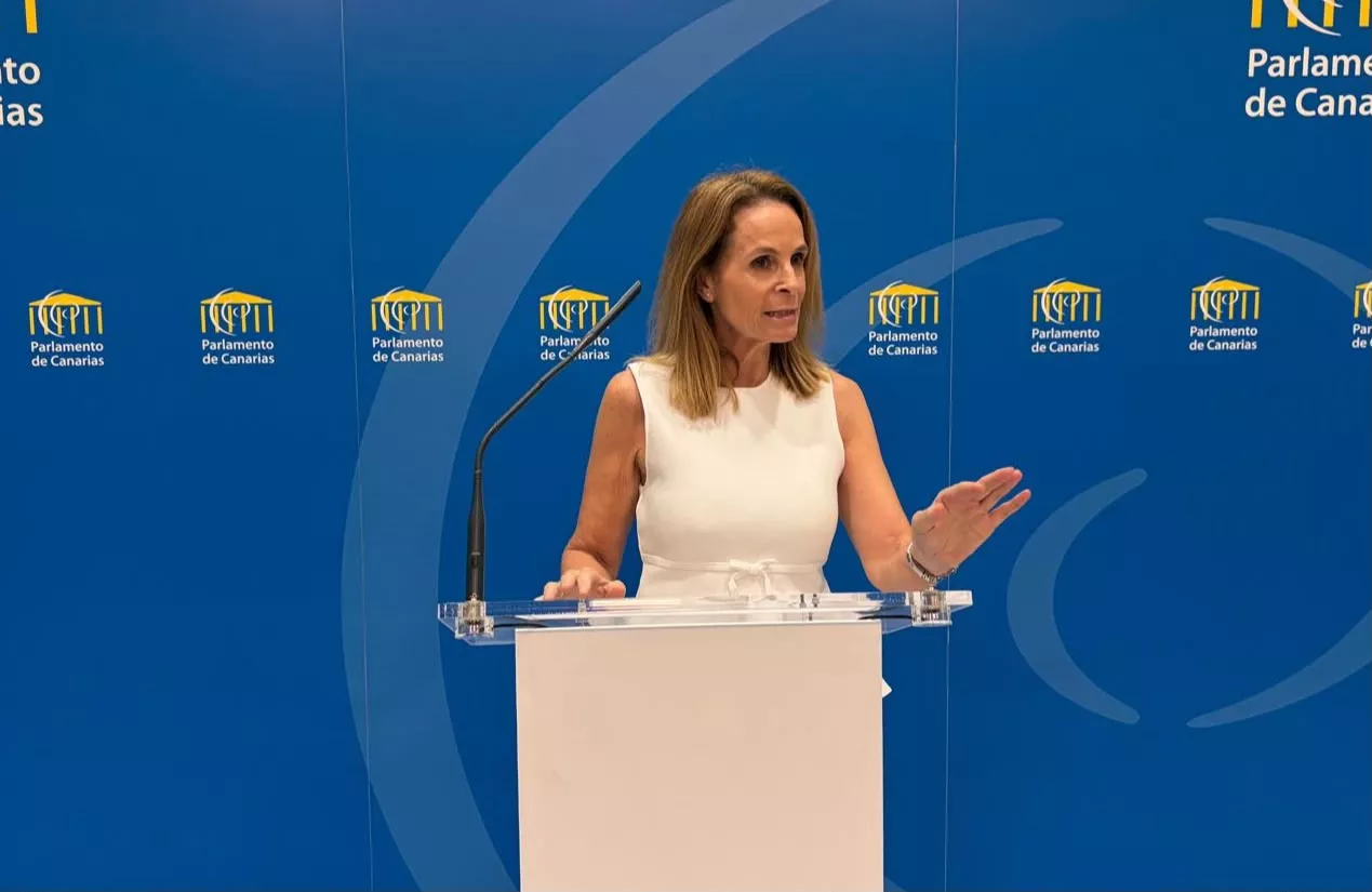 La portavoz del Grupo Parlamentario Popular, Luz Reverón, en rueda de prensa. / PP