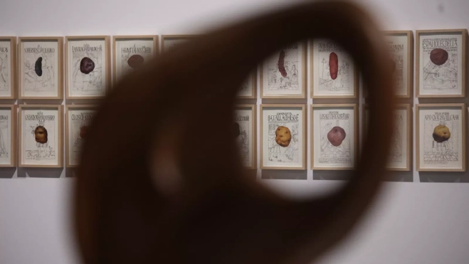 Imagen de la exposición 'Mientras seamos salvajes'./ CEDIDA POR TEA