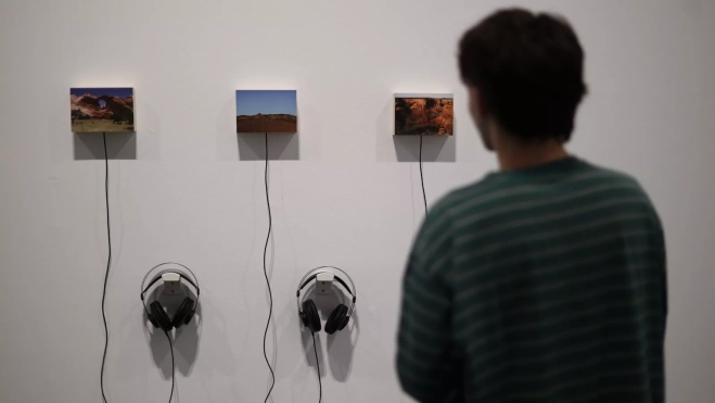 Imagen de la exposición 'Mientras seamos salvajes'./ CEDIDA POR TEA