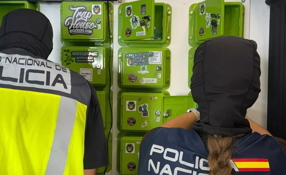 Agentes de la Policía Nacional durante el operativo en el sur de Tenerife. / POLICÍA NACIONAL