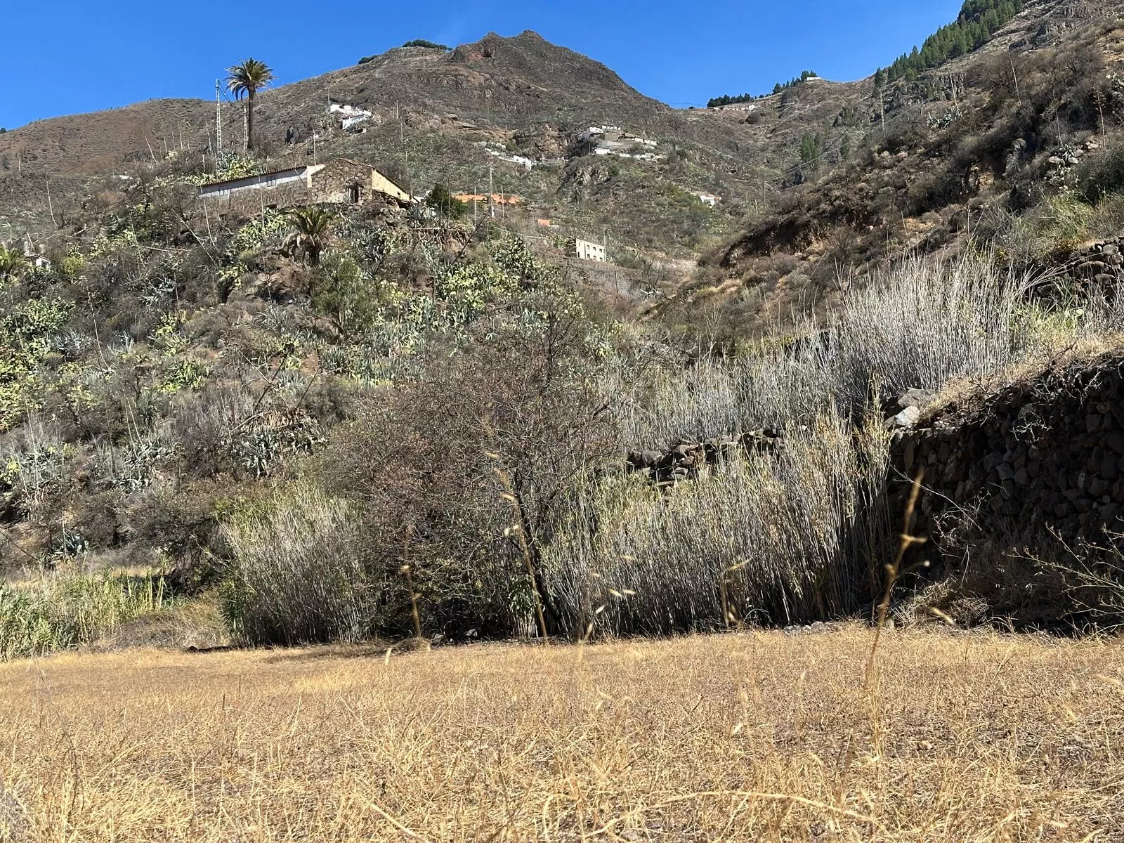  Terrenos sin cultivar en el entorno del Parque Rural del Nublo. / CEDIDA