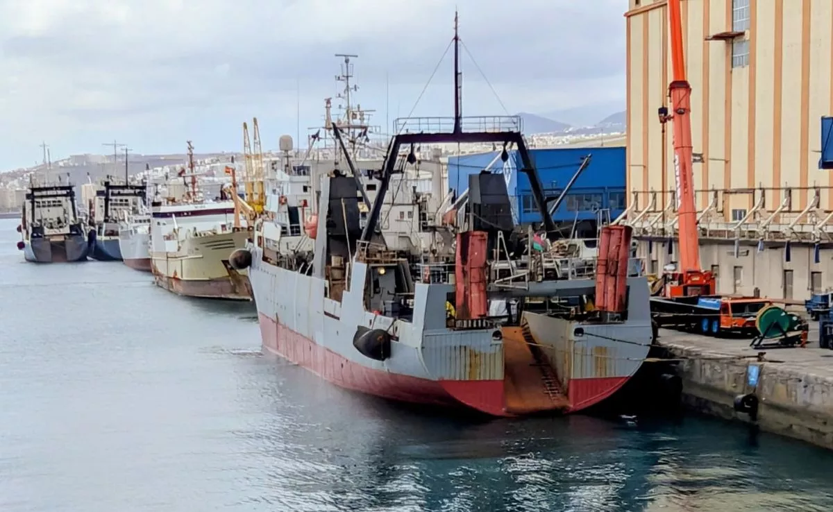 Varios buques de la flota pelágica atracados en el Muelle Grande y la zona pesquera del Puerto de Las Palmas. / M. REYES