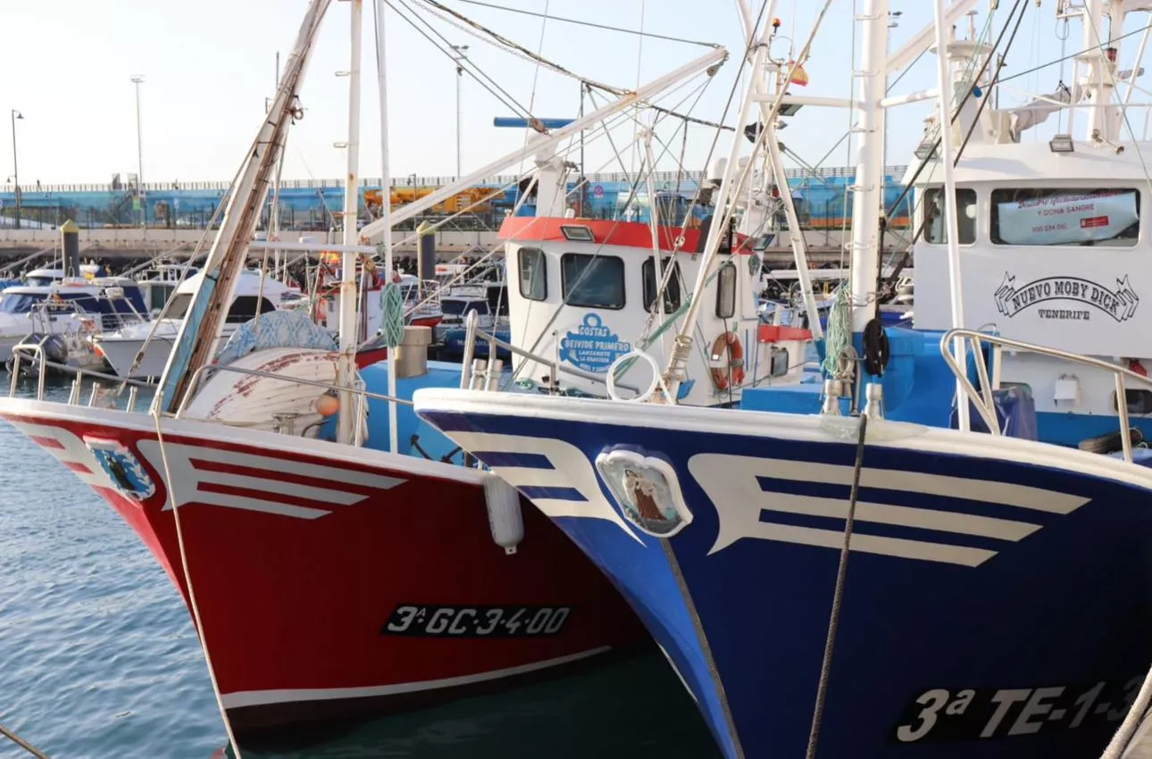 Imagen de un barco de pesca. / GOBIERNO DE CANARIAS