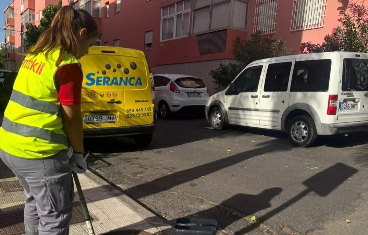 Santa Cruz activa una campaña contra las plagas en cinco barrios de Centro-Ifara. AH