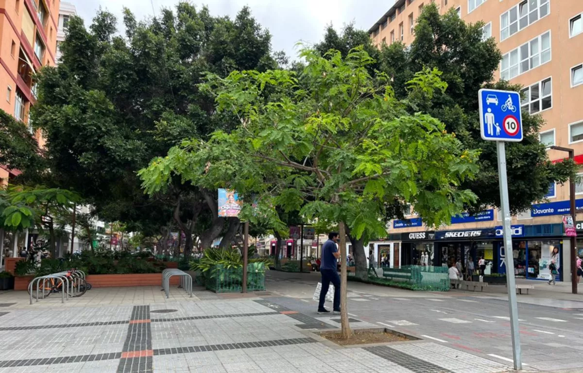 Avenida de José Mesa y López. AH