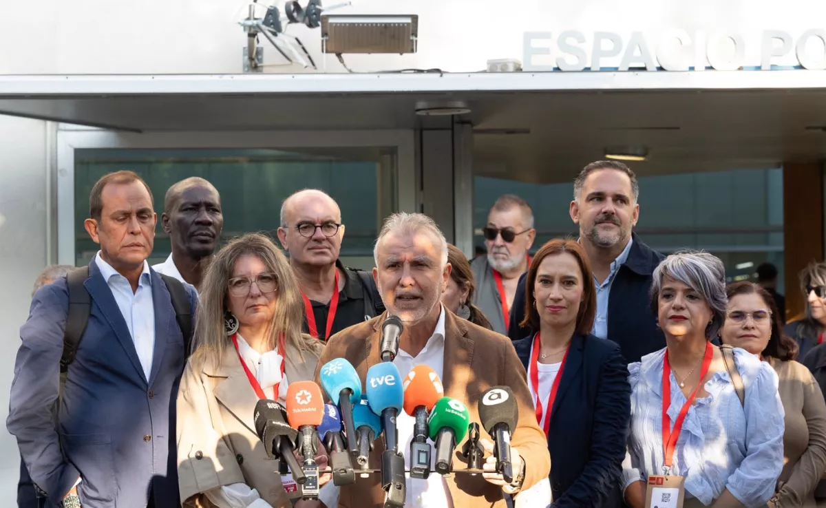 Representantes del PSOE canario en el Comité Federal de la agrupación./ CEDIDA