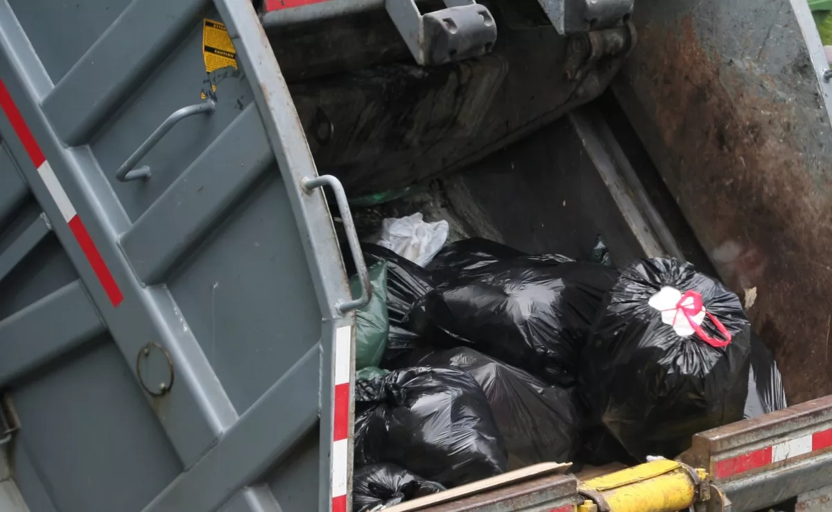 Recogida de basura. / CANVA