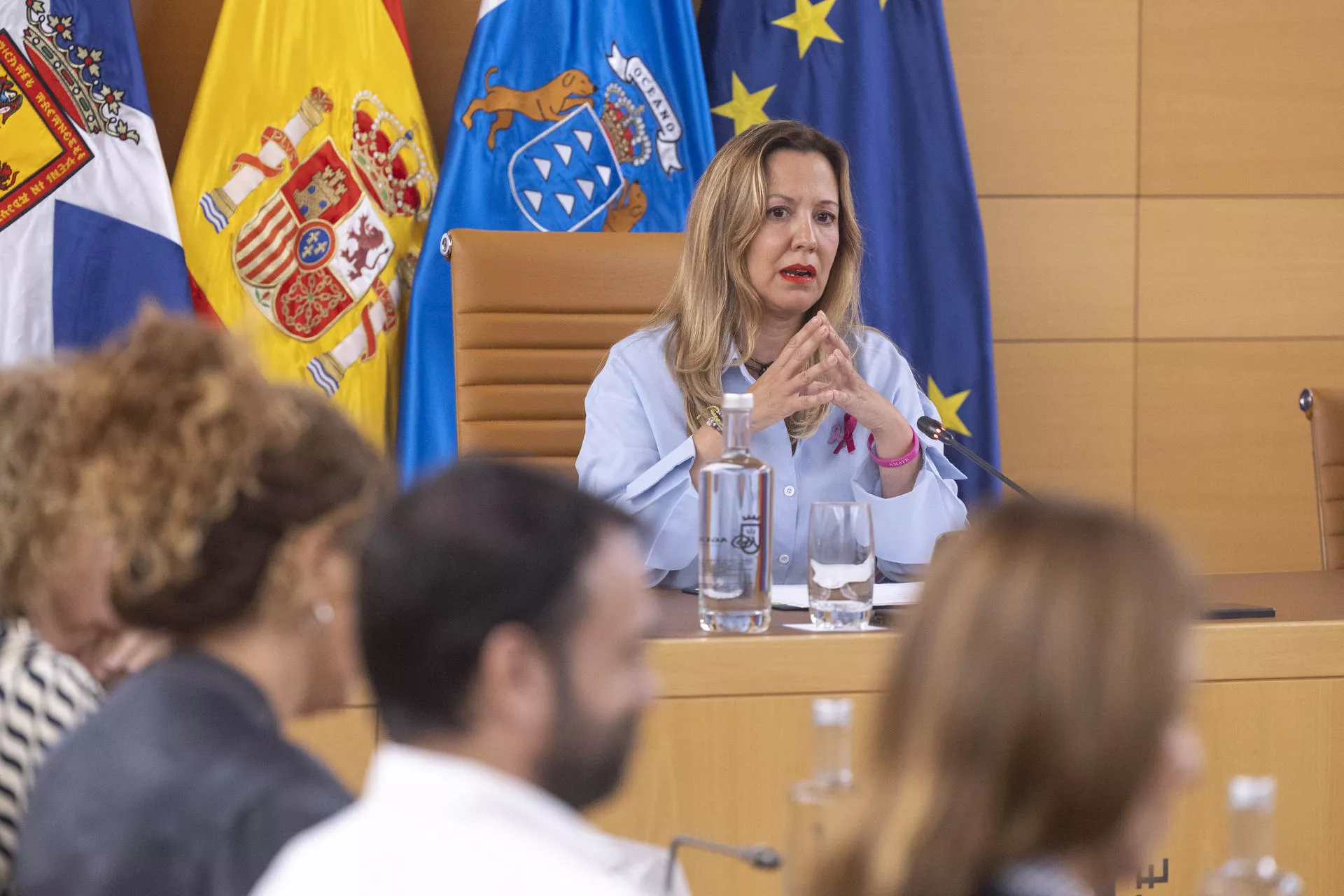  La presidenta del Cabildo de Tenerife, Rosa Dávila. / EFE - MIGUEL BARRETO
