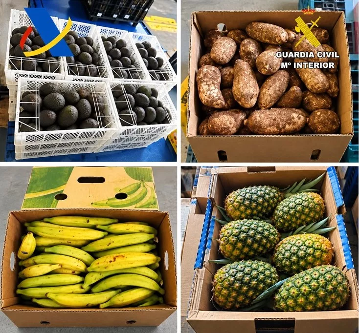 Fruta ilegal intervenida por la Guardia Civil en Tenerife. / GUARDIA CIVIL 