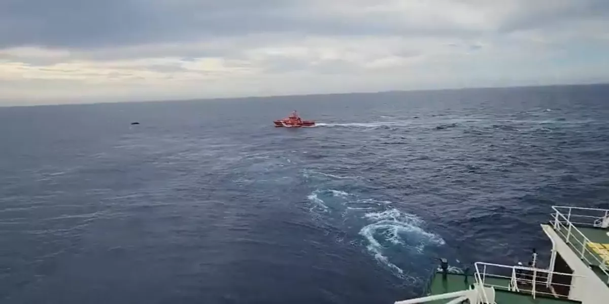 Imagen de la neumática / SALVAMENTO MARÍTIMO