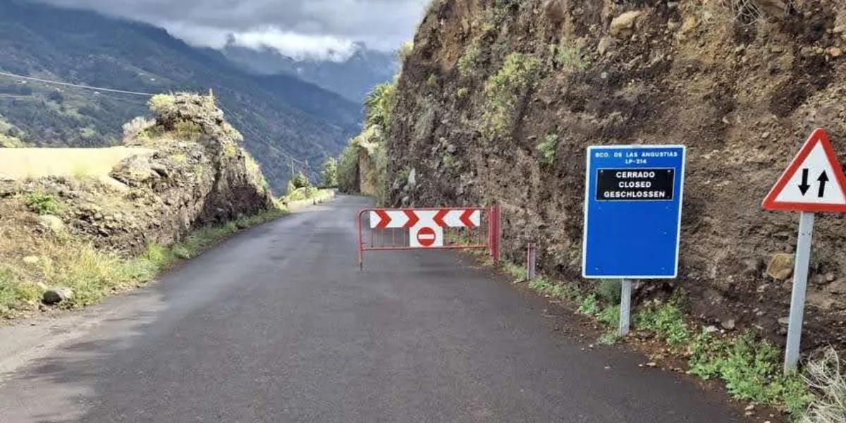 Imagen de la carretera LP 214 de La Palmas   CABILDO DE LA PALMA
