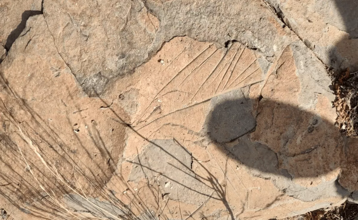Imagen de un posible grabado guanche que Imastanen pide estudiar / IMASTANEN