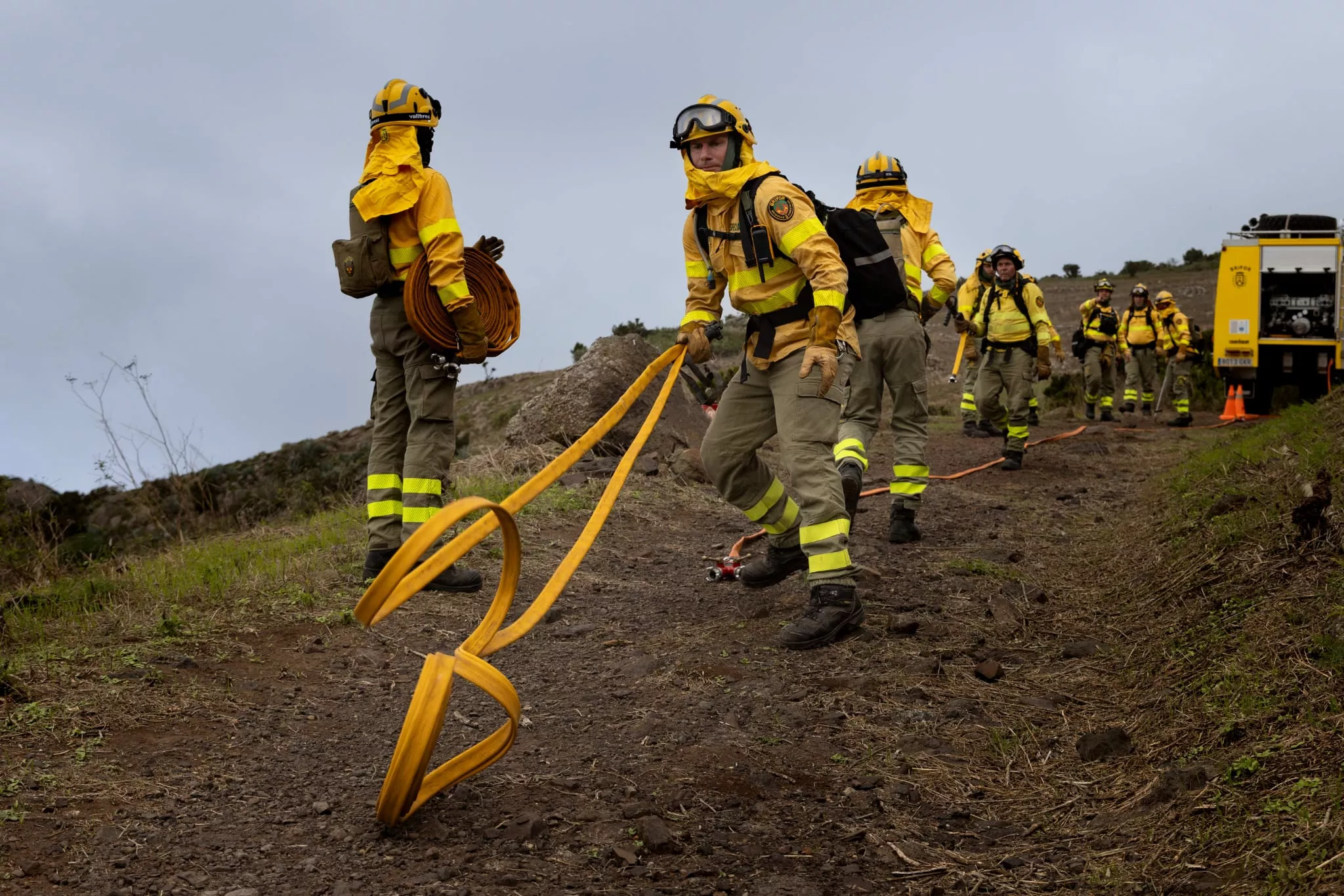Operativo Brifor en Teno Alto. / CABILDO DE TENERIFE