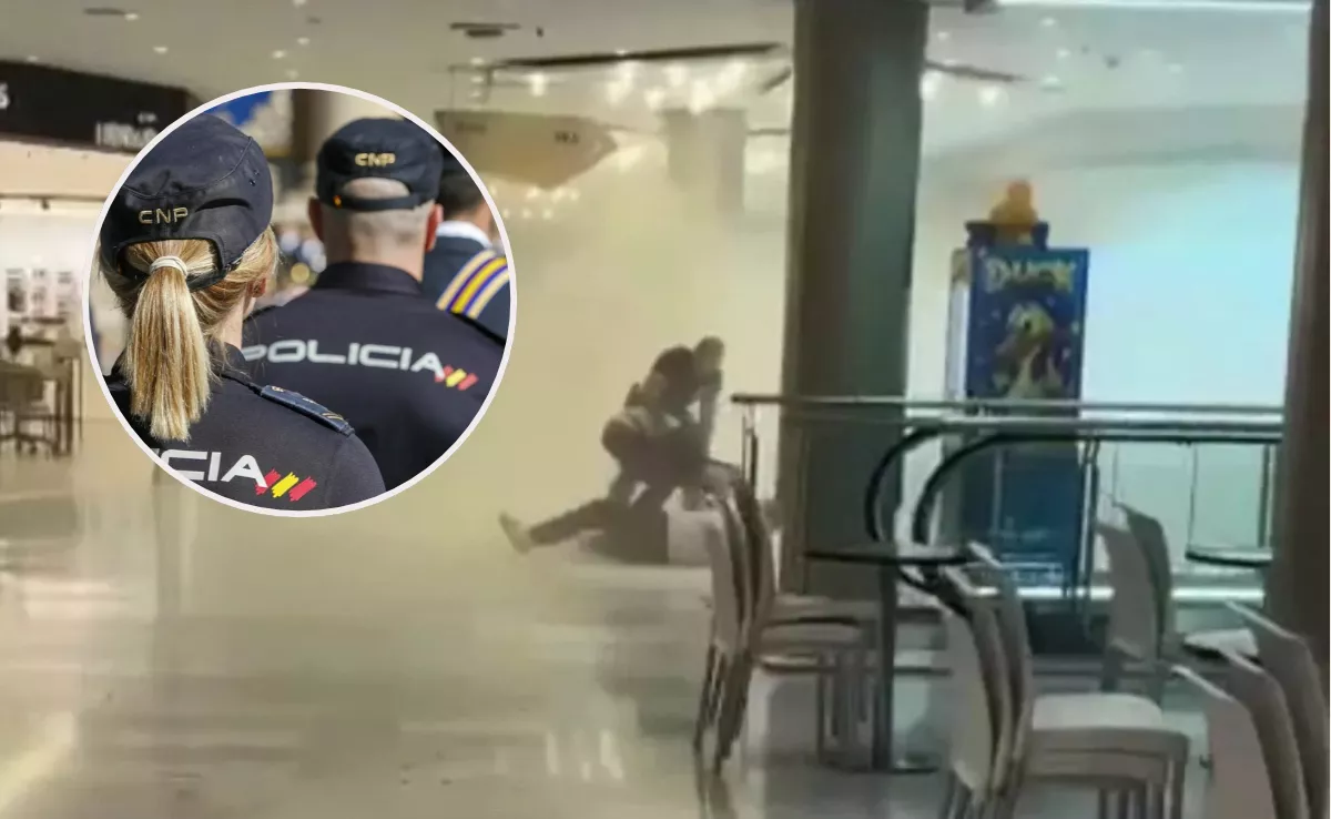 Atraco en el centro comercial Las Arenas y agentes de la Policía Nacional / AH