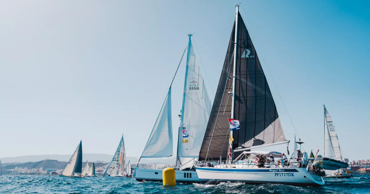 Salida de la regata ARC del año pasado, con la ciudad de Las Palmas de Gran Canaria al fondo. / LPA
