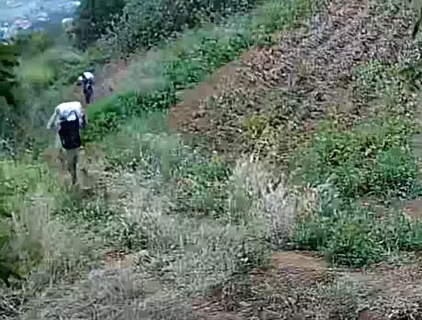 Varias personas con sacos, en una imagen difundida en el marco de la investigación por la sustracción de papas negras. / GUARDIA CIVIL