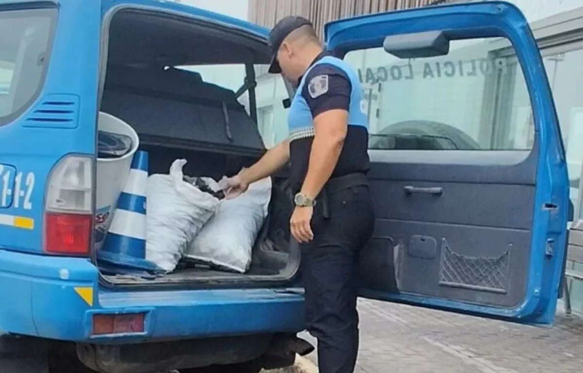 Incautan 57,5 kilos de mejillones extraídos ilegalmente en Costa Calma. POLICÍA LOCAL PÁJARA