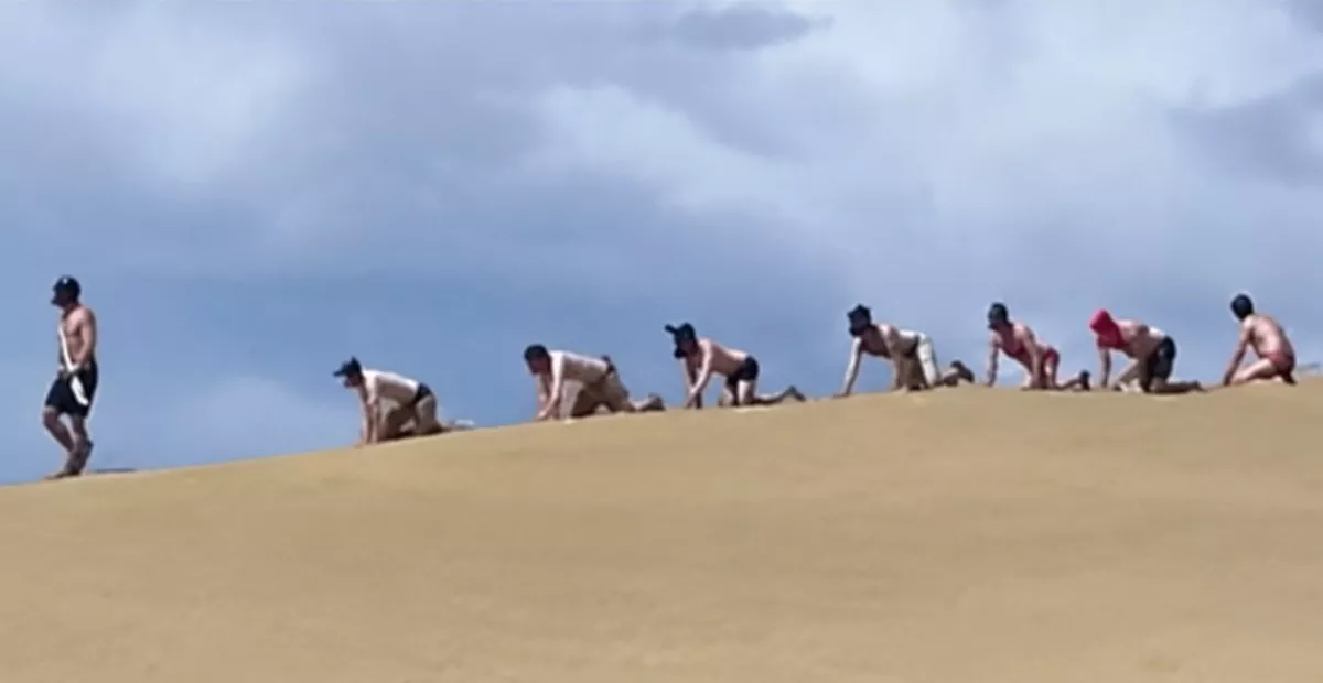 Imagen de los 'puppys' transitando encima de un espacio protegido de las Dunas de Maspalomas   IMAGEN DE LA RED