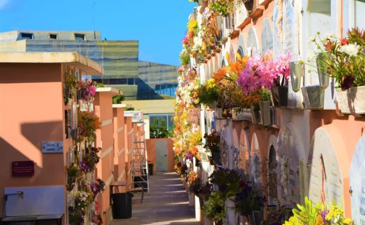 Imagen del cementerio de La Orotava / LA OROTAVA