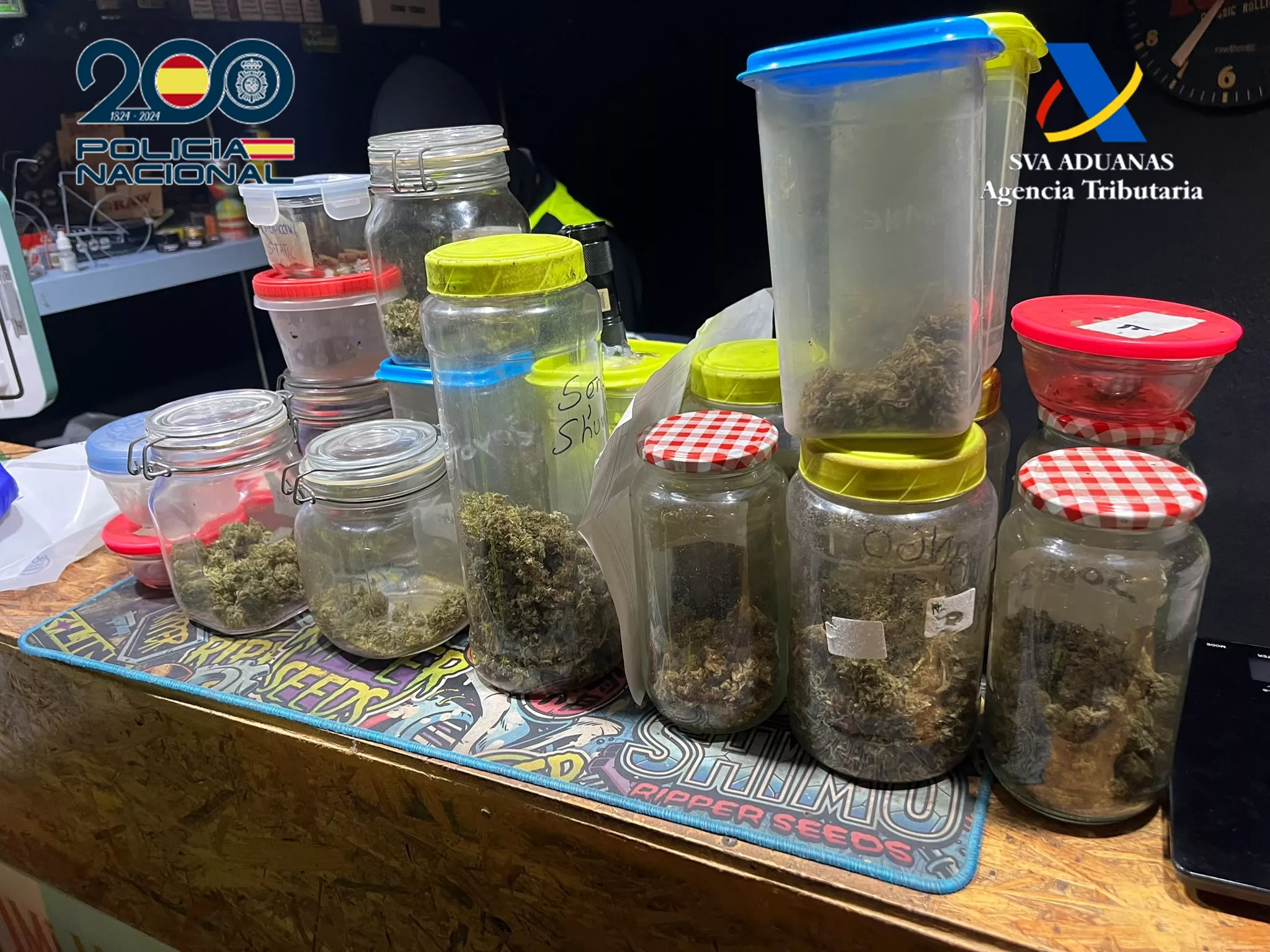 Cogollos de cannabis intervenidos. AH