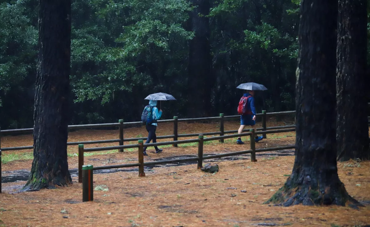 Imagen de dos personas caminando bajo la lluvia en Canarias / EFE